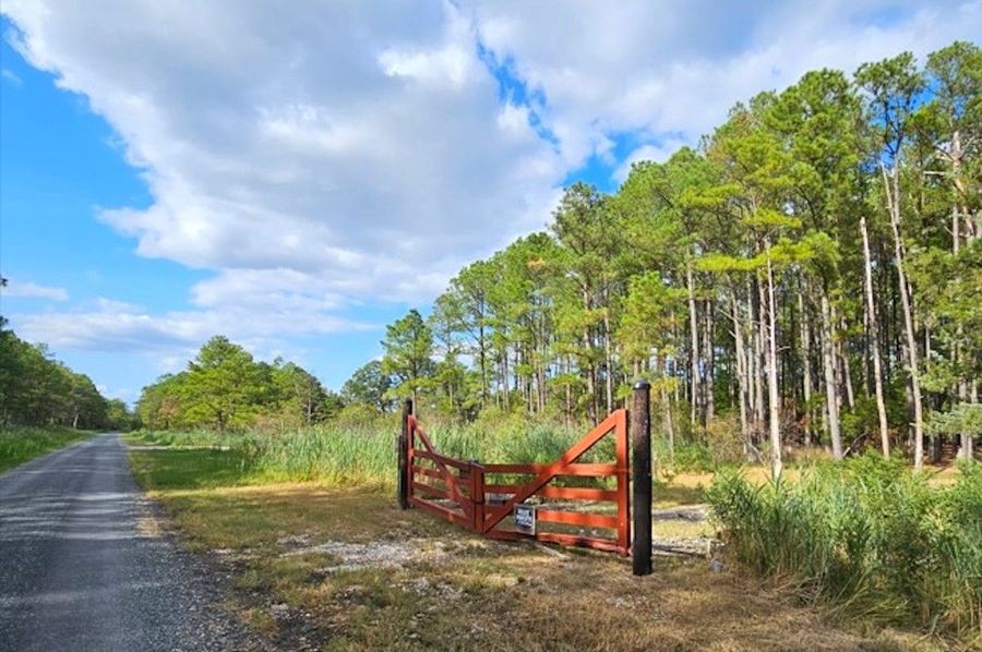 6.39ac_PineTopRd_LOT 1_Dorchester_05