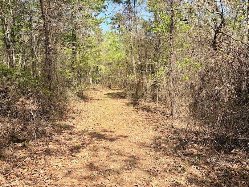 0058DB07-561E-4765-AD7C-364C560C767D_1_201_a