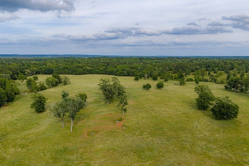 Holman Ranch-45