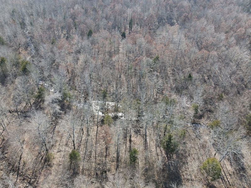 dji_fly_20250213_142248_6_1739478176505_photo