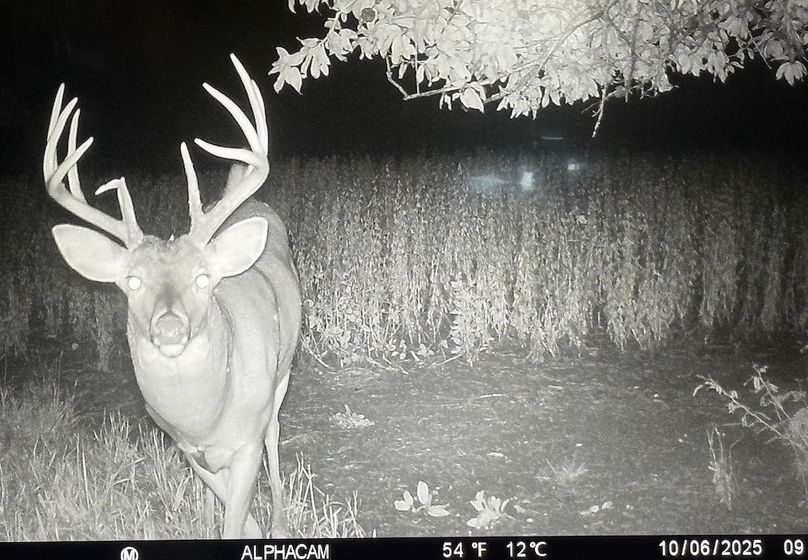 TRAIL CAM 5