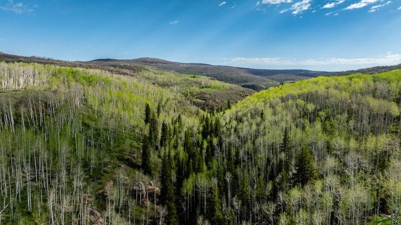 DJI_0607-HDR