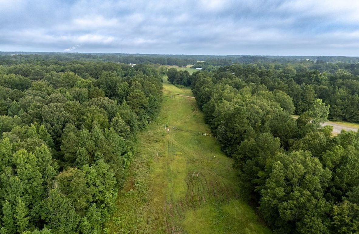 2.1 Panola Co. 40ac - Rouse-10