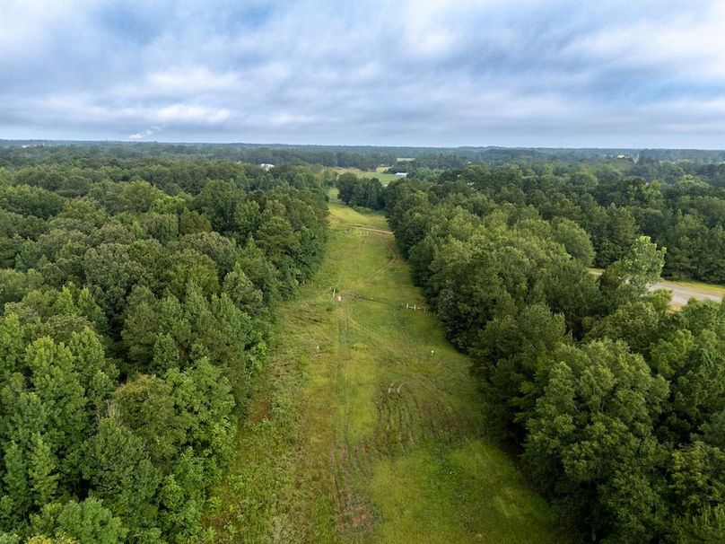 2.1 Panola Co. 40ac - Rouse-10