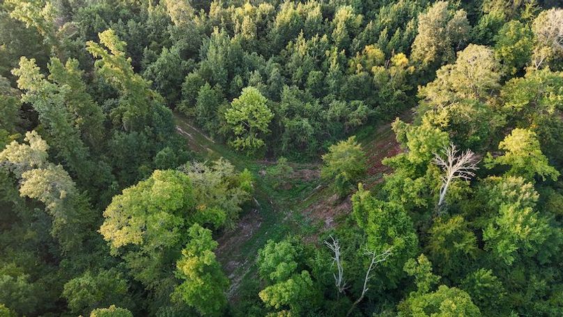 Ashley Co-40-Givens-45