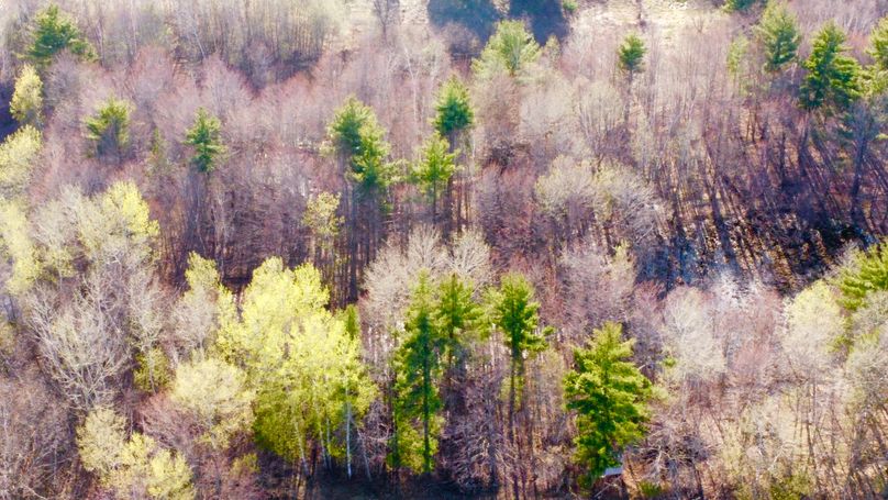 dji_fly_20230504_181842_704_1683242338470_photo_optimized