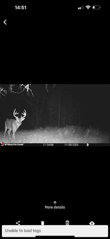 trailcam20