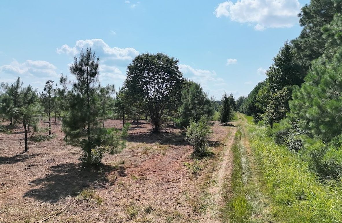 Lonoke Co 5_20250807_0001