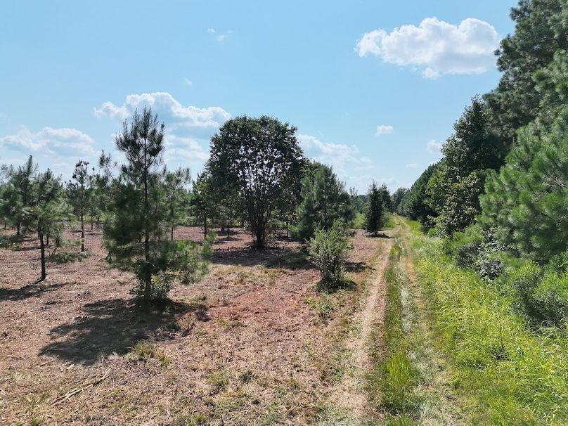 Lonoke Co 5_20250807_0001