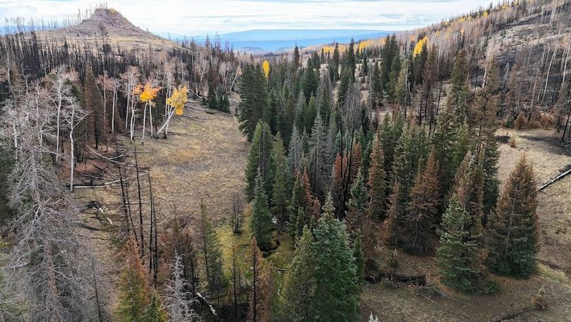 DJI_20250927093255_0216_D