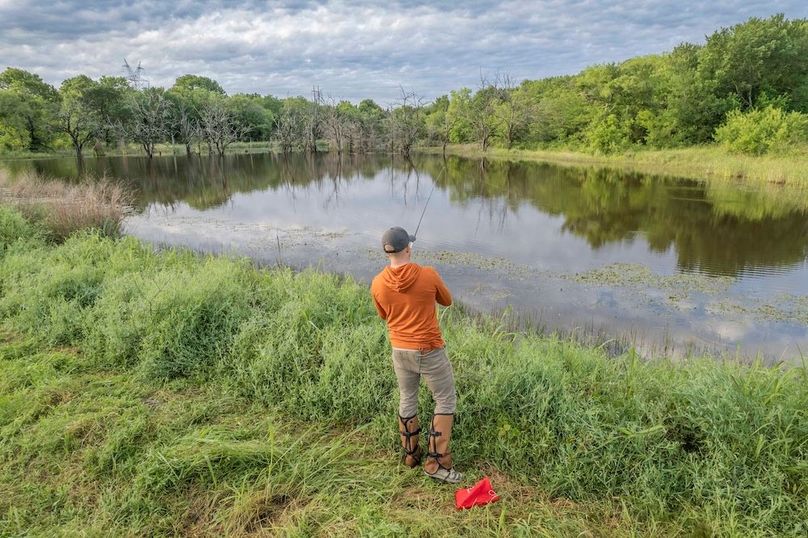 Fannin County- Pecan Ridge (41 of 53)