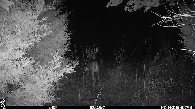 trail cam2