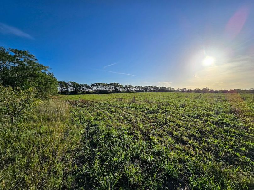 Copy of 20250729_074236