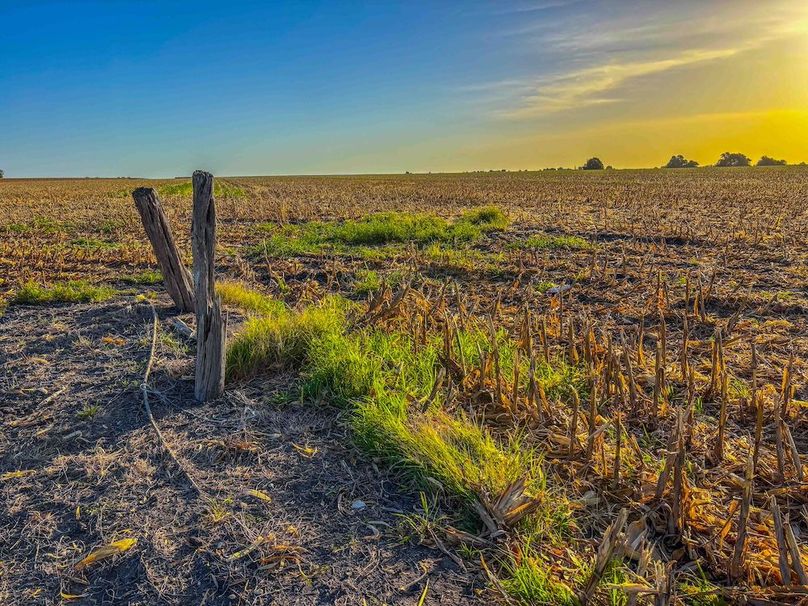 Bell 46.44 Pictures-31