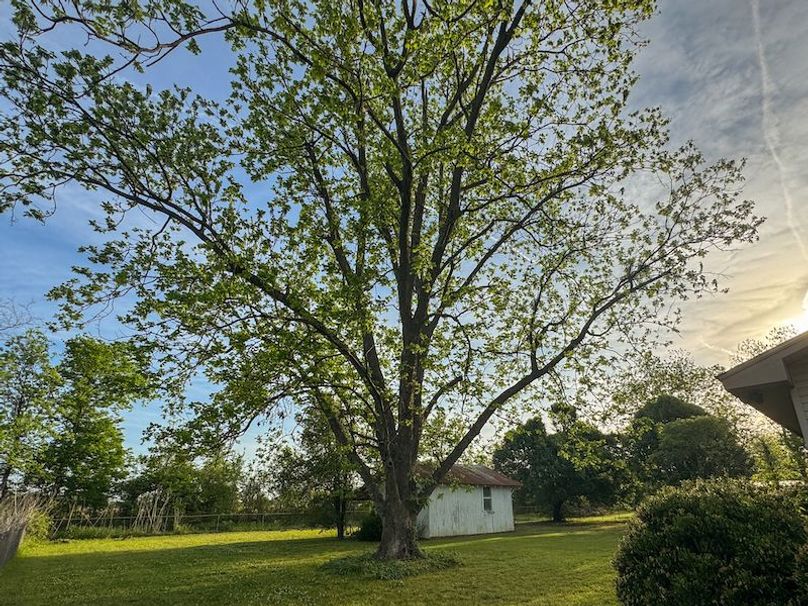 Phillips .5 Stokes -18