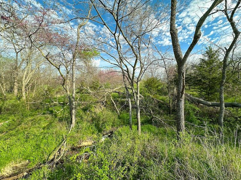 Lot3_20