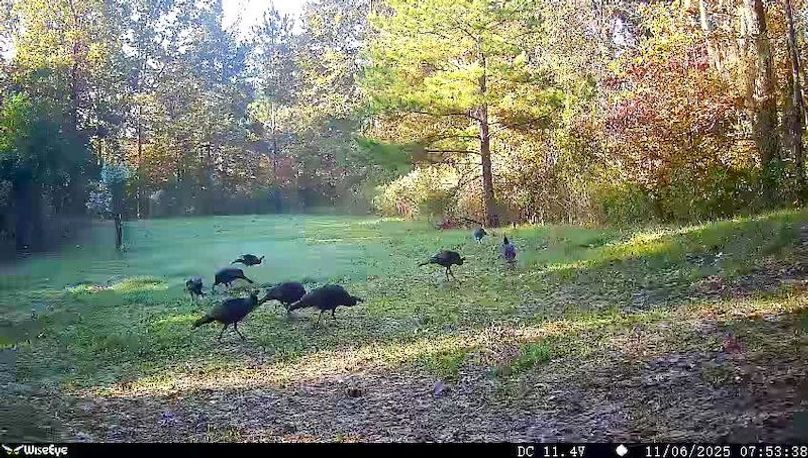 Claiborne Co - 274 - Marian-027