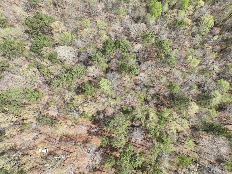 DJI_0019