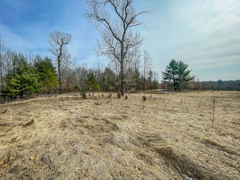 Adams 10.06 Johnson-21