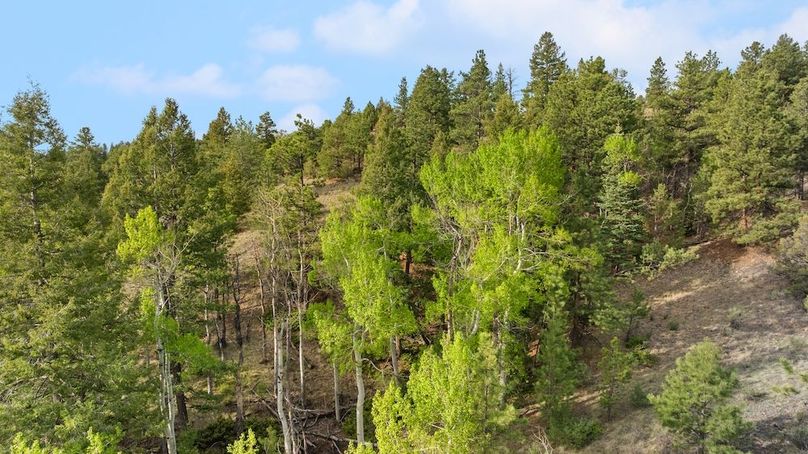 DJI_20260526085907_0255_D
