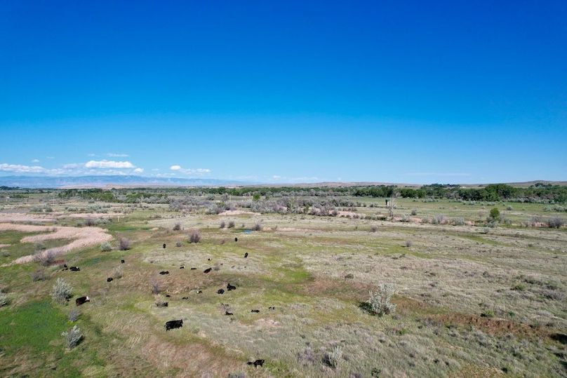 55B4F04C-1792-4409-937D-4BEF4F0A35F4_1_201_a