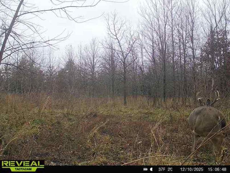 864049051945600-100-2-12102025150648-W1000018