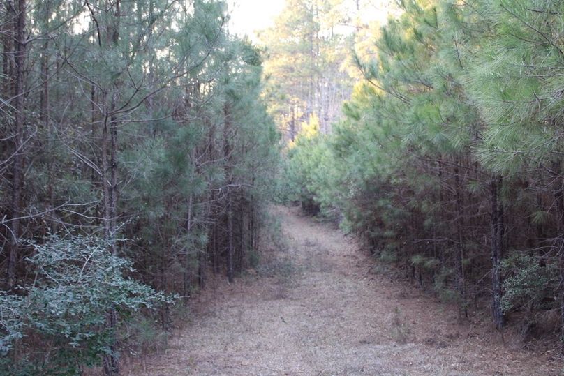 7DEBA429-21EC-4B42-8CDA-E06F62A06D8E_1_105_c