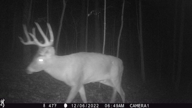 trail cam42