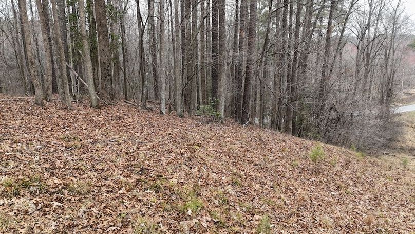 dji_fly_20260225_113802_0128_1772037650602_photo