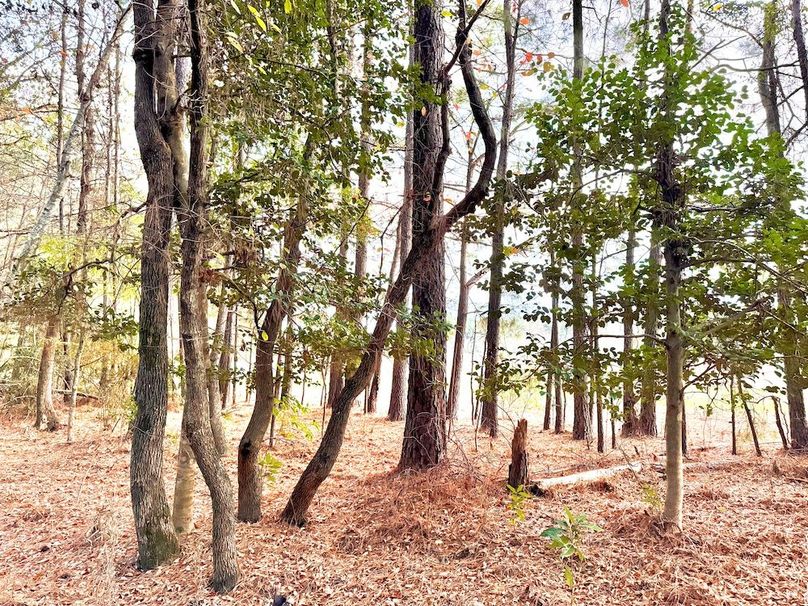 82634E1D-2FA5-484D-B85D-0DDCC6AEDEC7