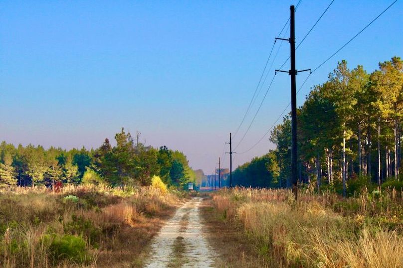 179F78AA-566D-46F5-A92F-78FC271B6BE2_1_201_a