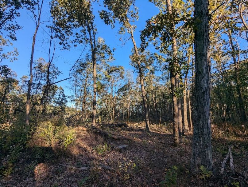 PXL_20251001_215258909