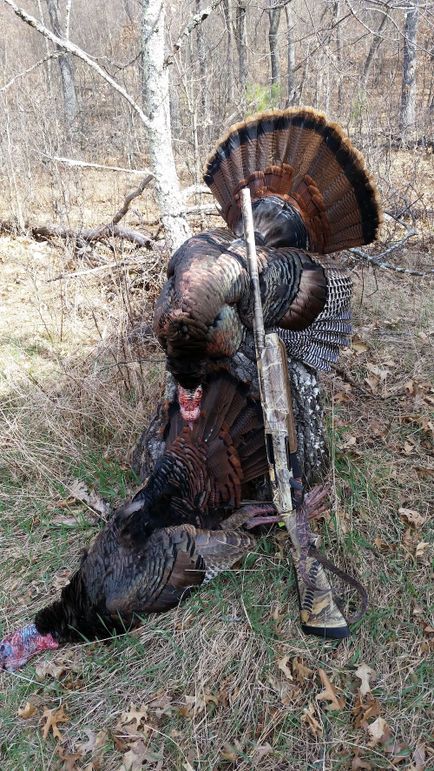 Sauk 174 Trailcam - 80