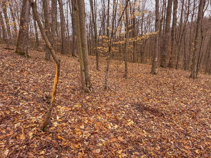 Tyler, WV 90 AC Burkhart-45