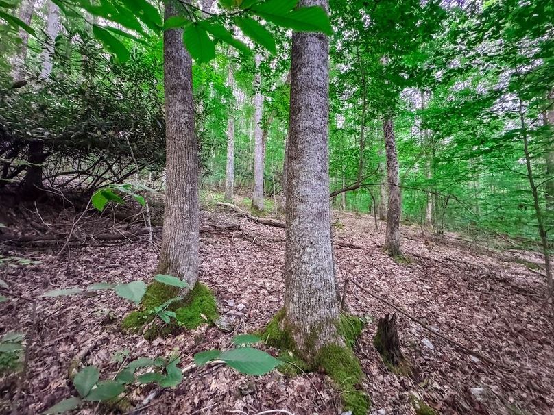 Webster, WV 42 AC Barger-12