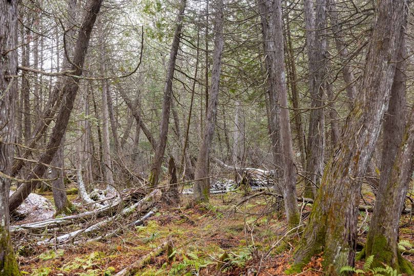 Mackinac 31.5 Noteboom-1695