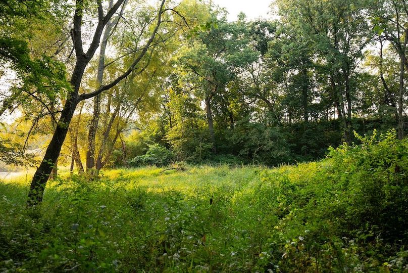 Cedar IA 152 Featured-Z84