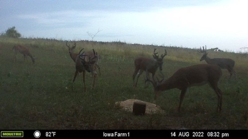 image637961109326588887