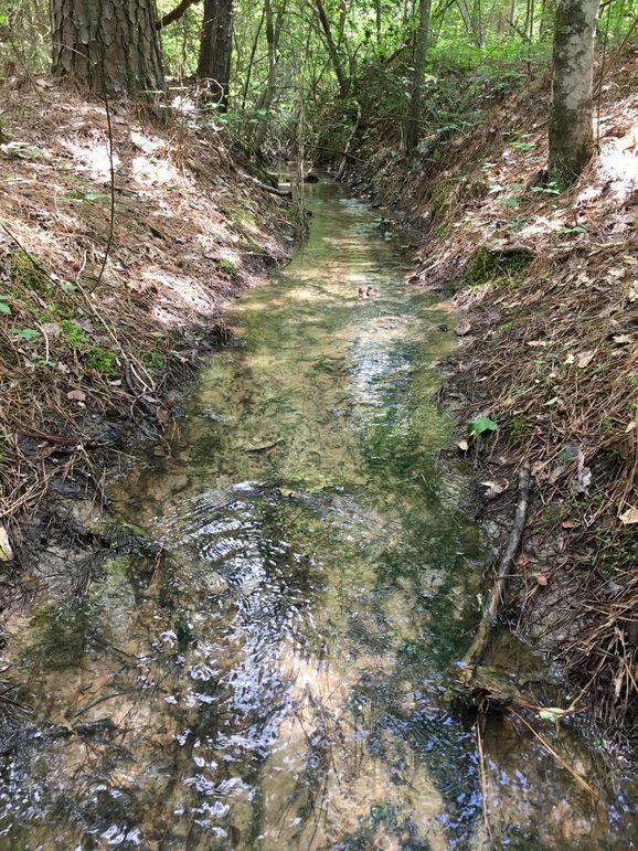 BA063592-FDCD-4BF0-8DEC-7E948DA39969_1_105_c