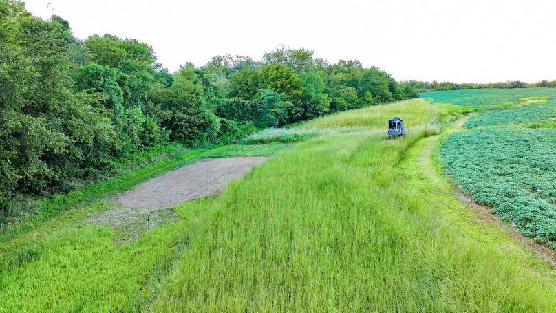 1 of 3 elevated deer blinds by crops, switchgrass, food plot