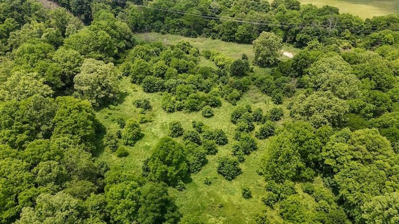 DJI_20250604132453_0008_D