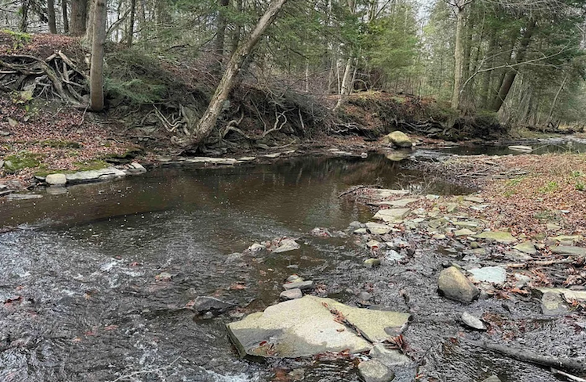 Screenshot 2025-01-20 at 11.42.18 AM