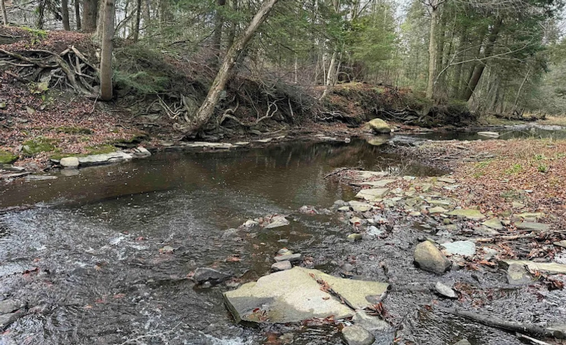 Screenshot 2025-01-20 at 11.42.18 AM