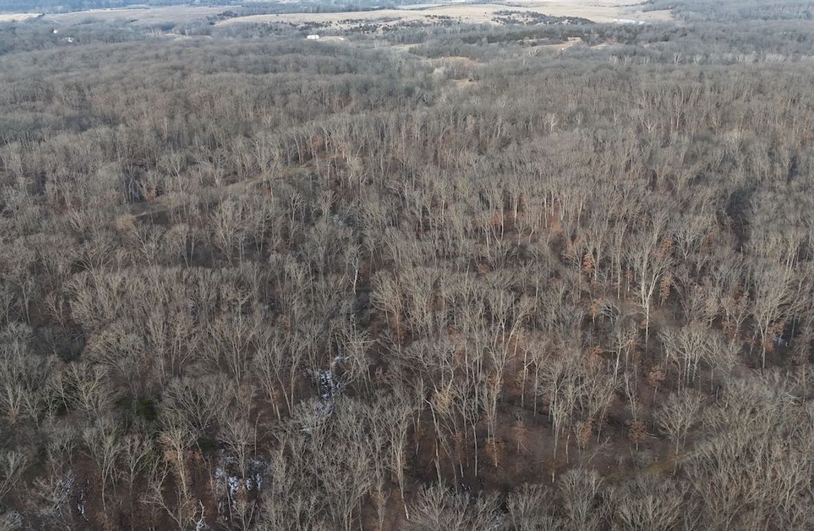 dji_fly_20260208_082736_0039_1770562362812_photo