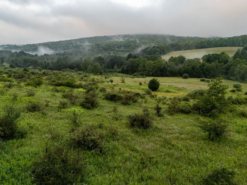 DJI_20250702041933_0013_D