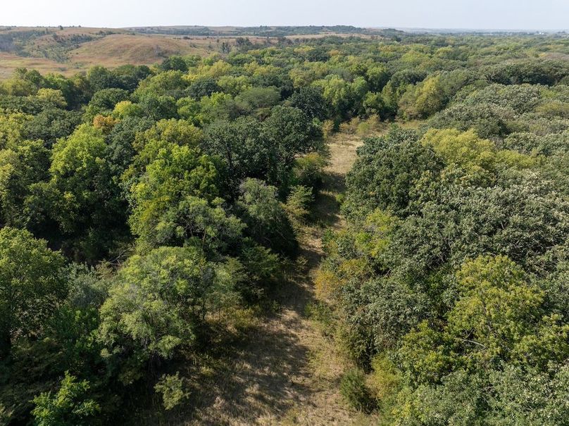 20240913-DJI_20240913110022_0132_D