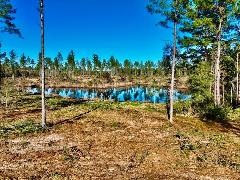 6024C5FF-4C73-4A2C-B8EC-D064D7E8A7A1_1_201_a