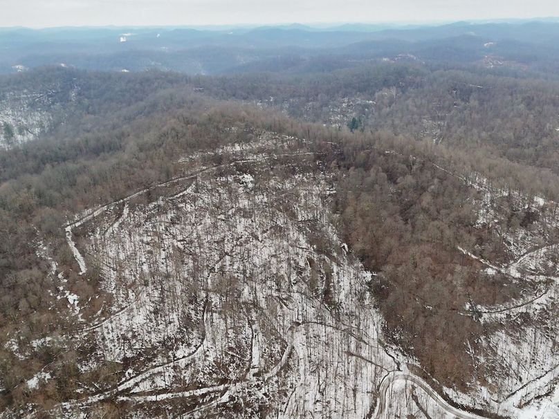 Screenshot 2026-02-20 at 11.08.08 AM