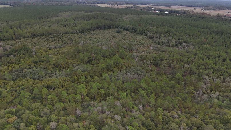 DJI_20231117115421_0019_D