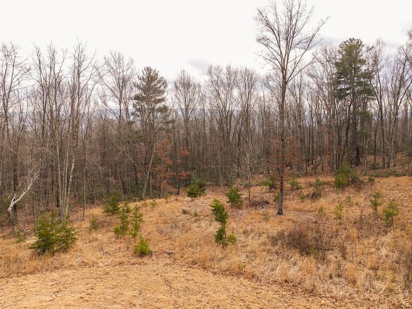 DJI_20260304160014_0025_D